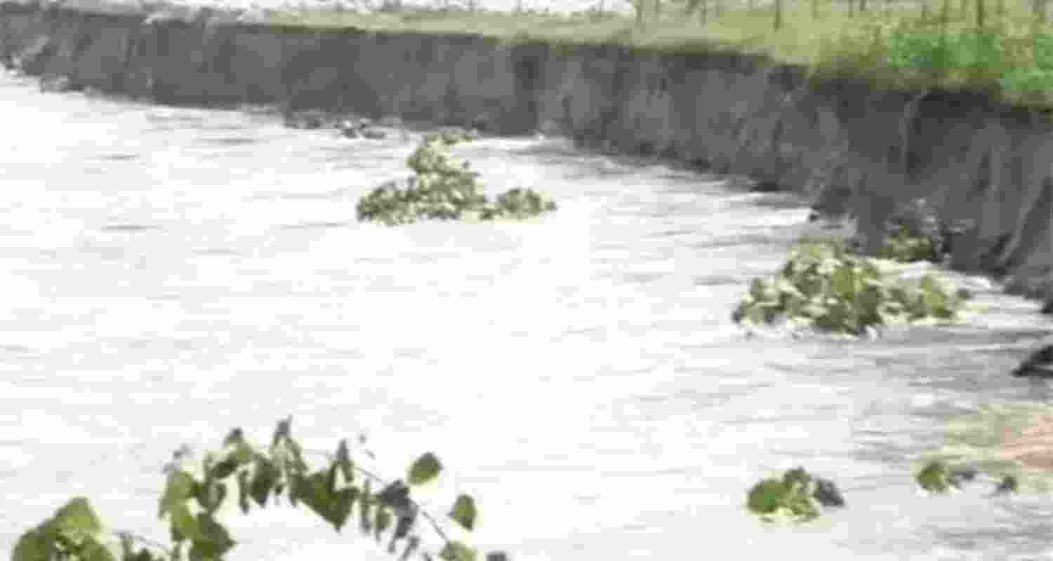 The changing course of the Satluj near Sasrali is rapidly eroding fertile land.