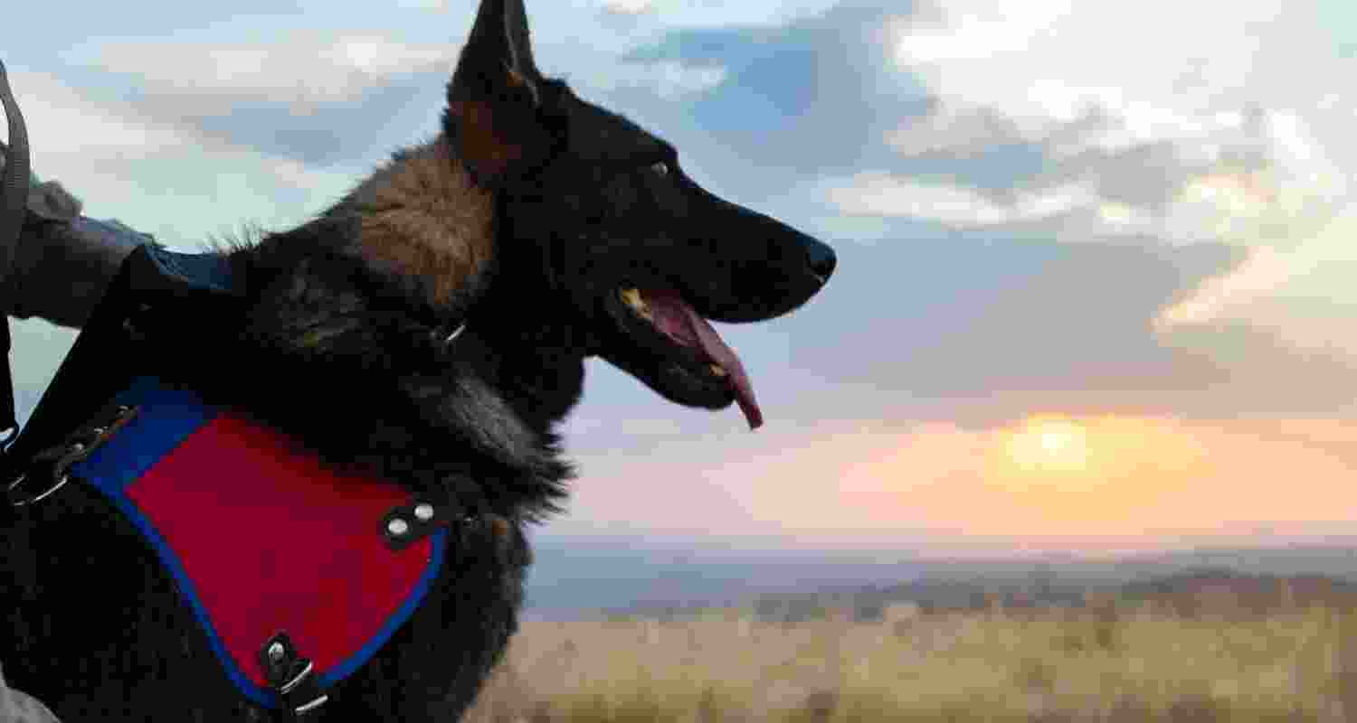 Representative Image. 