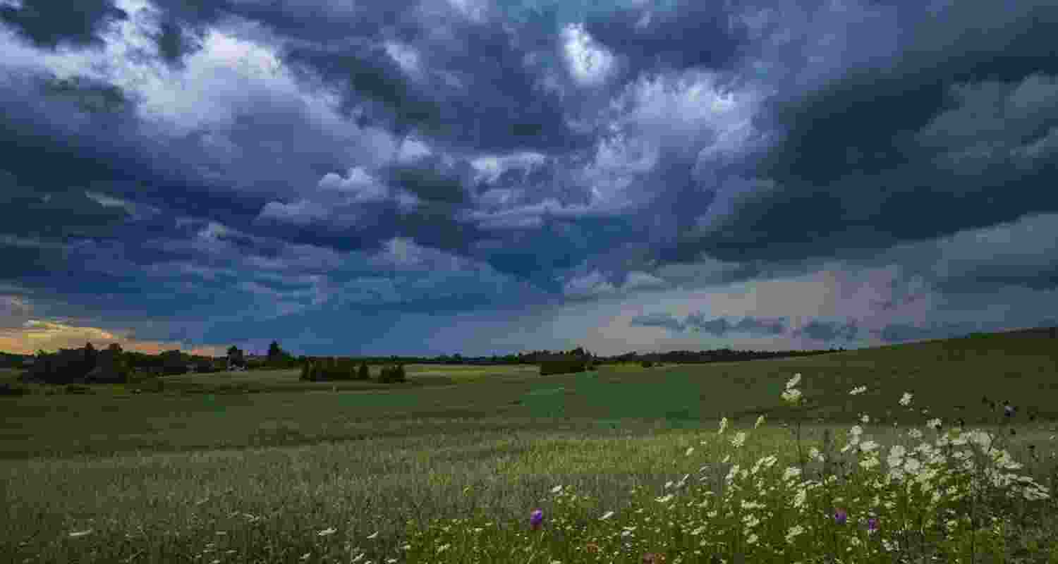 How soil microbes ‘steal’ DNA to trigger rains