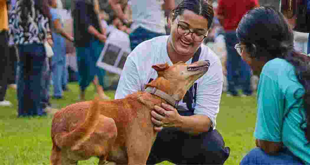A stray dog receives attention from dog lovers.
