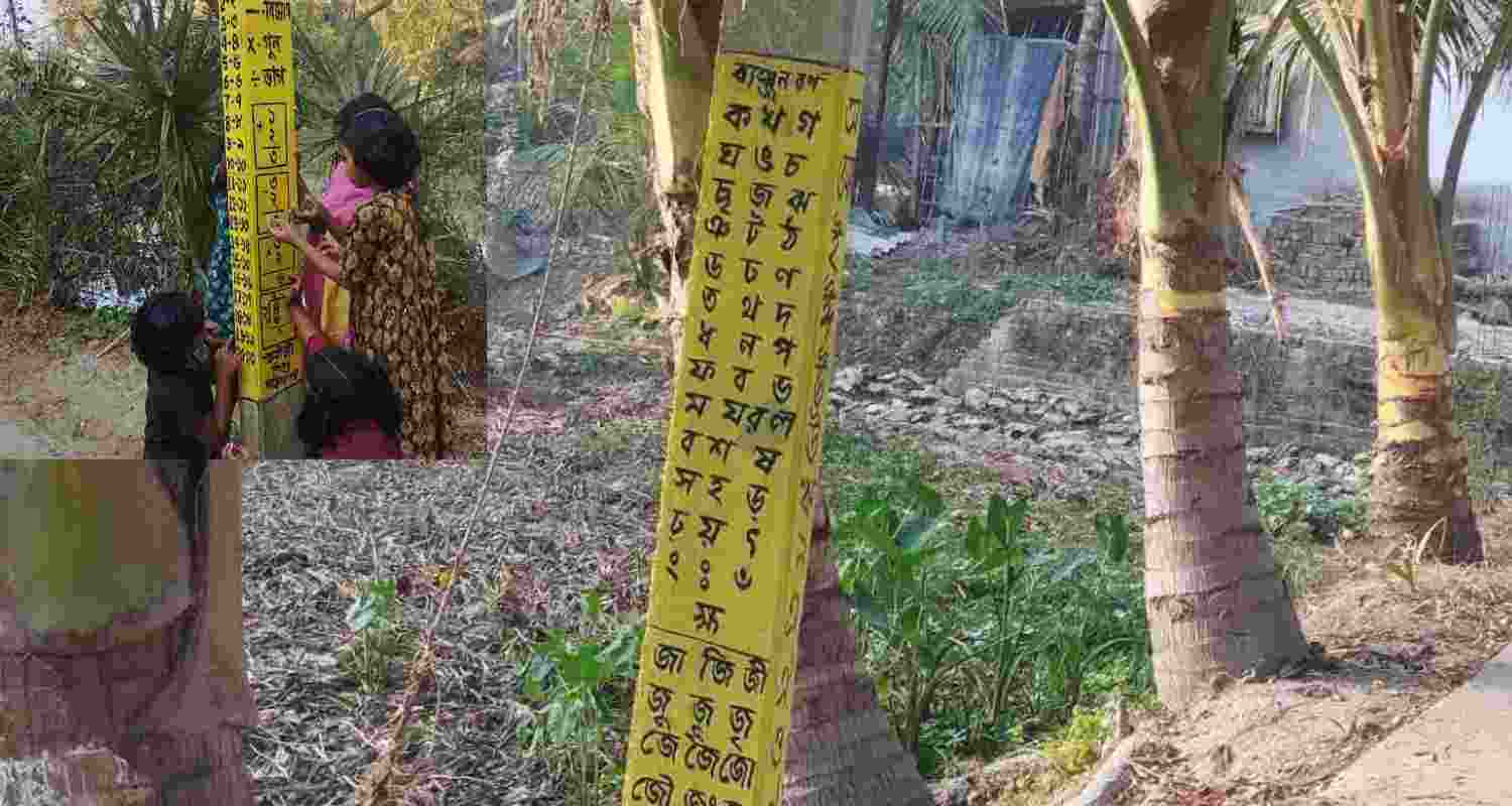 A Sundarbans village in West Bengal turns roadside electric poles into an open-air classroom with alphabets and numbers, inspired by Vidyasagar’s Barna Parichoy.