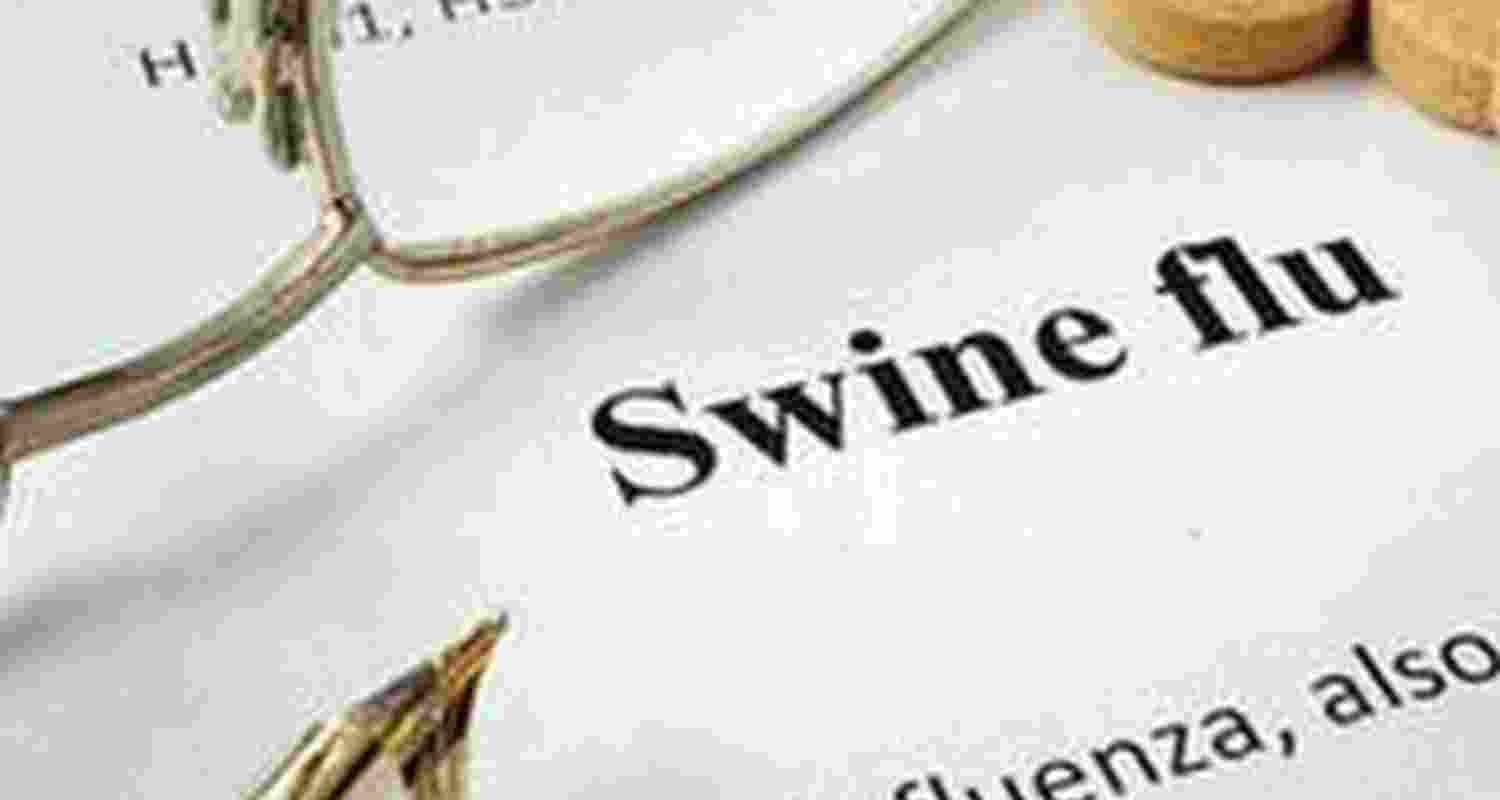 Mizoram ASF outbreak kills over 1,050 pigs, culling underway