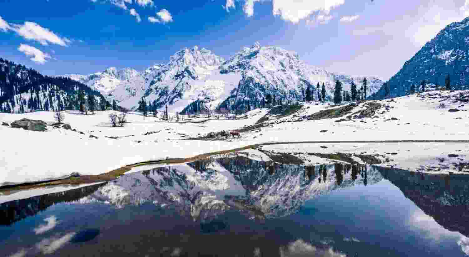 Kashmiri climbers conquer Thajiwas peak after 79 years