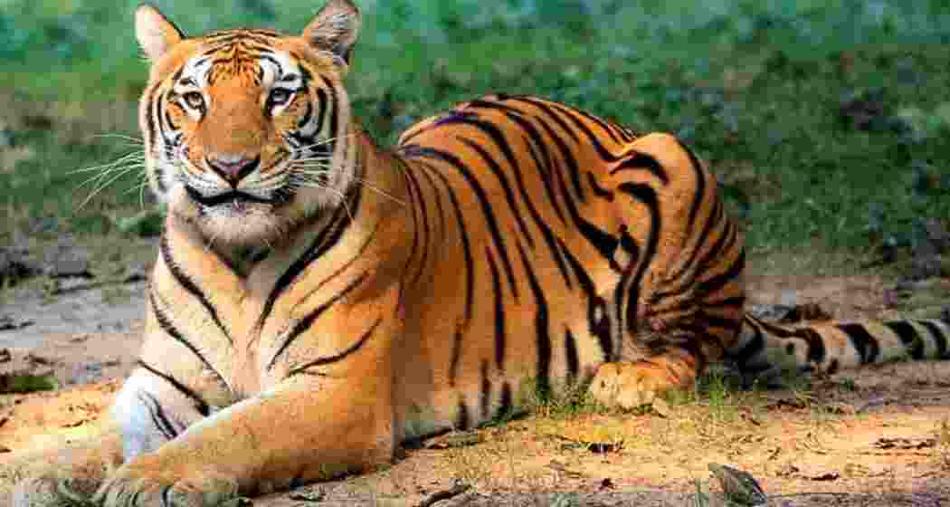 Image for representative use only.