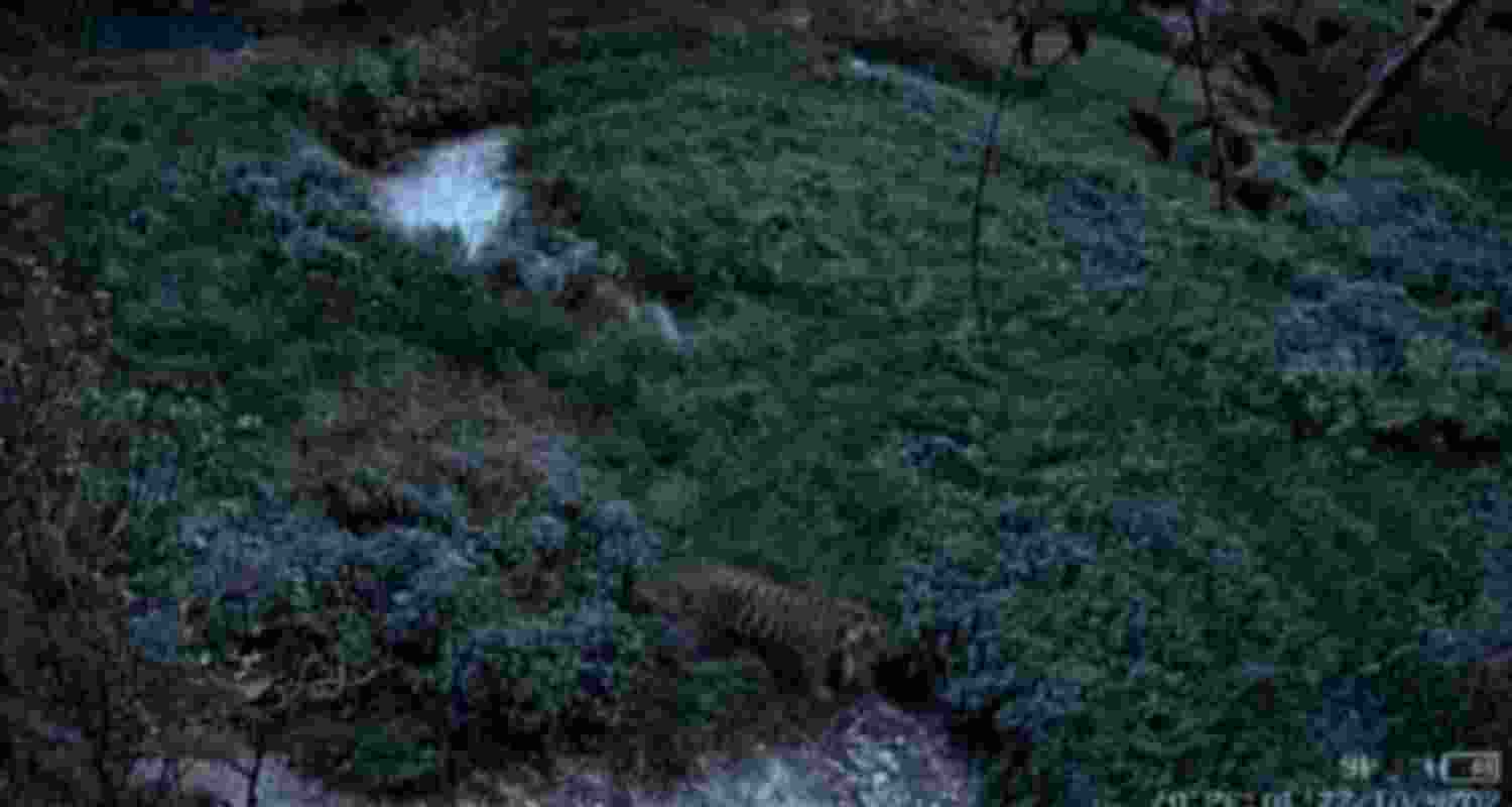 Tiger movement detected in Paonta Sahib.
