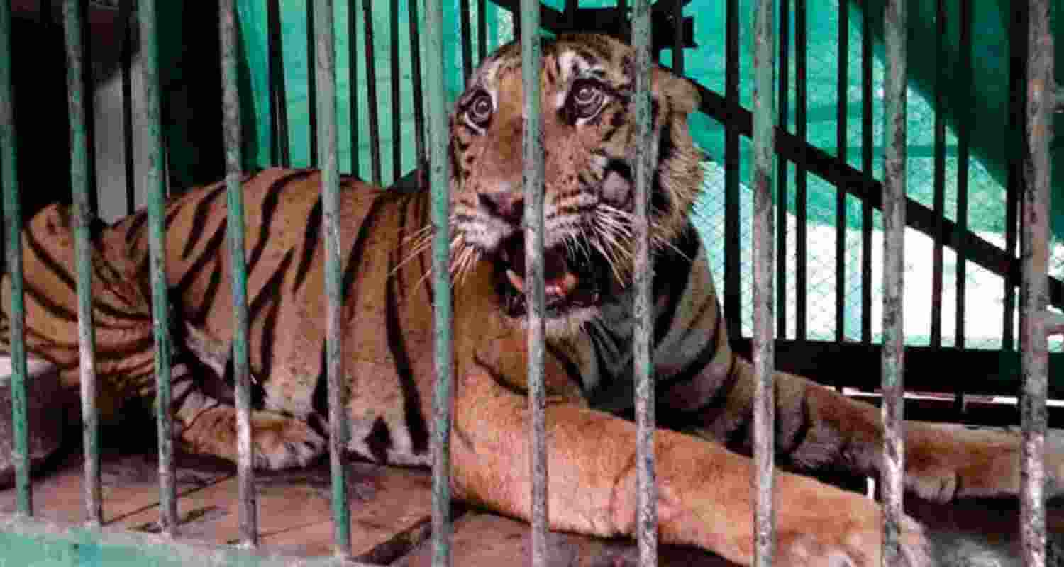 Representative Image. 