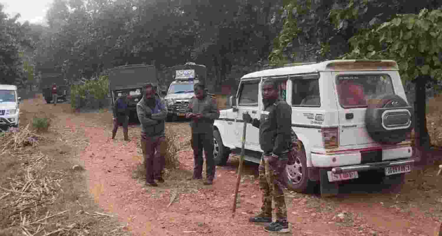 Bengal Forest teams struggle to capture Tigress Zeenat