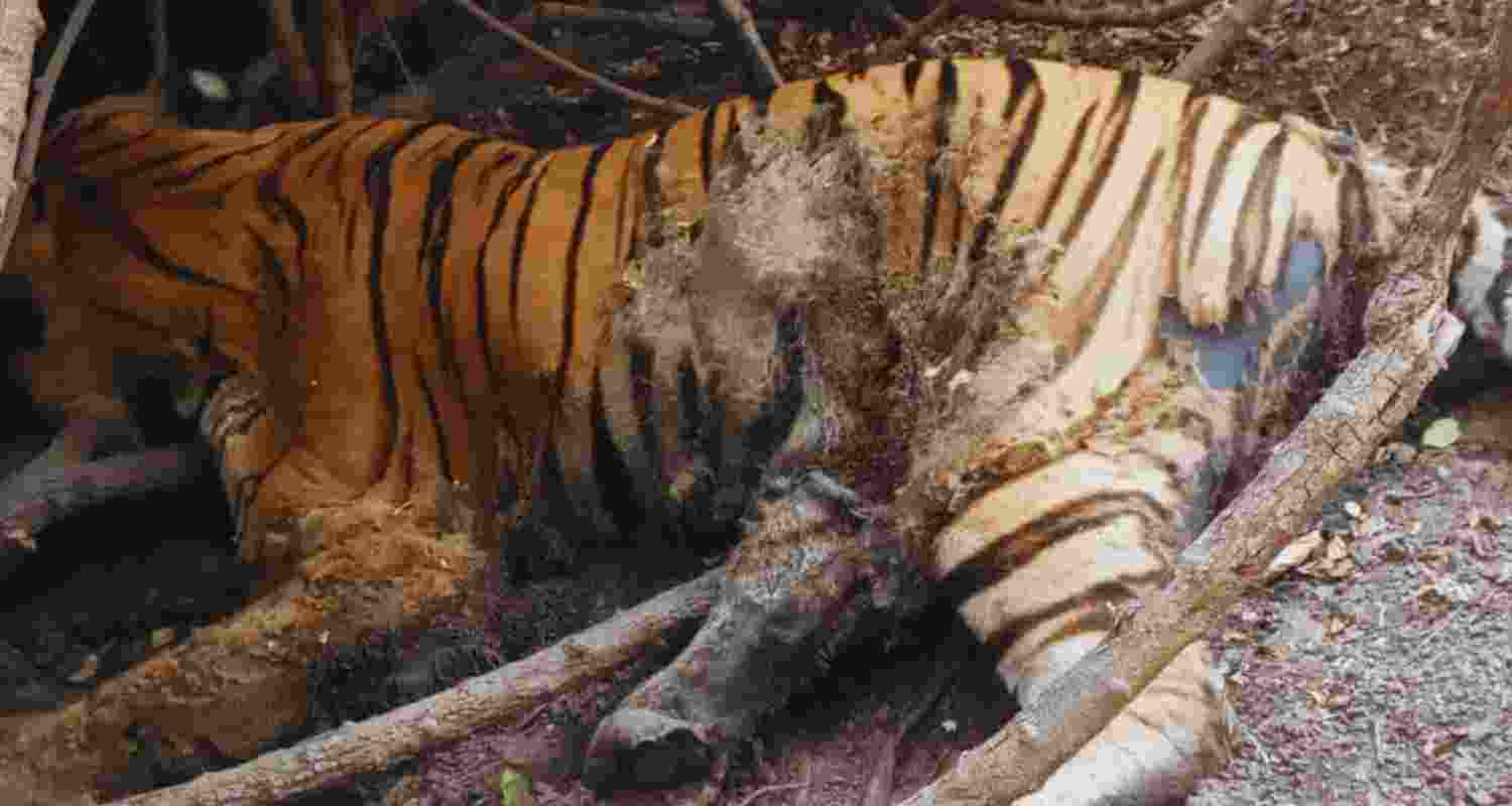 Representative Image. 