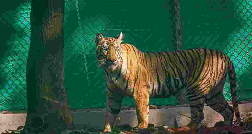 Image for representative use only.