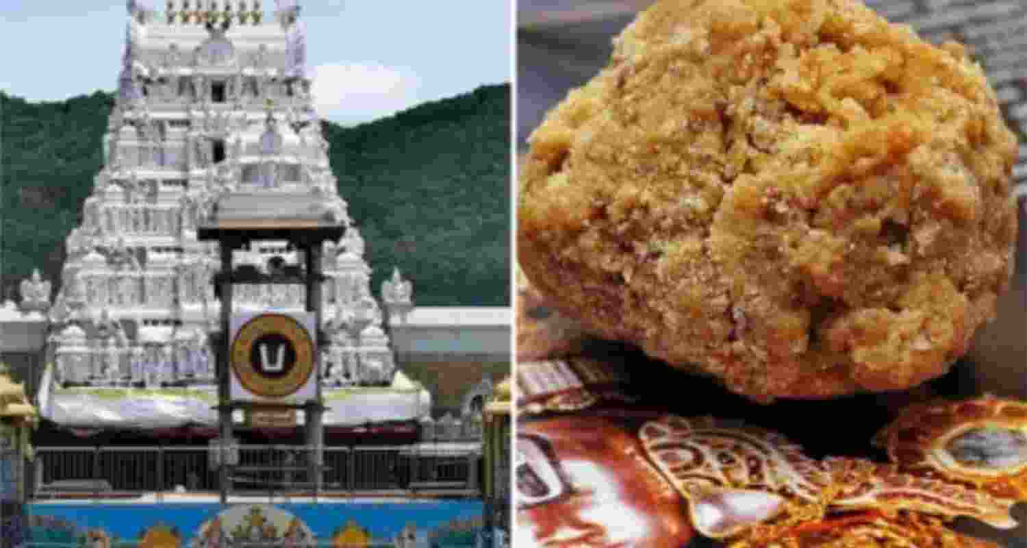 Tirupati laddu row: Chemicals used in ghee, says accused   