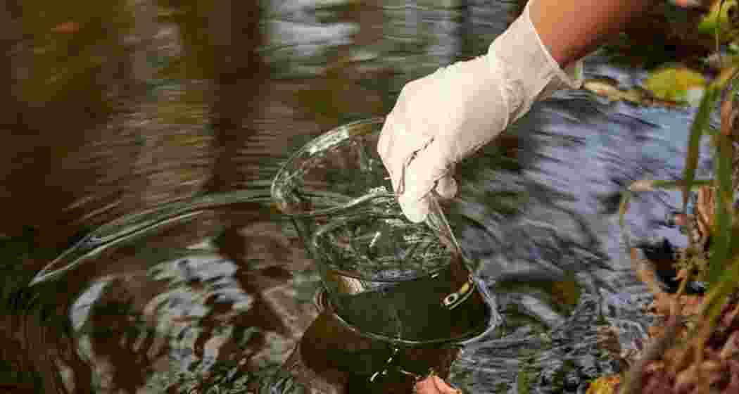 Scientists at IIT Guwahati have developed a cyanobacteria-based process that removes toxic lead from contaminated water. Representative image.