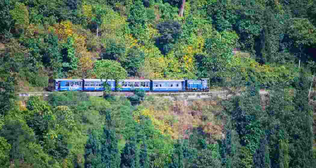 The Darjeeling Himalayan Railway’s Toy Train passes through forested stretches.