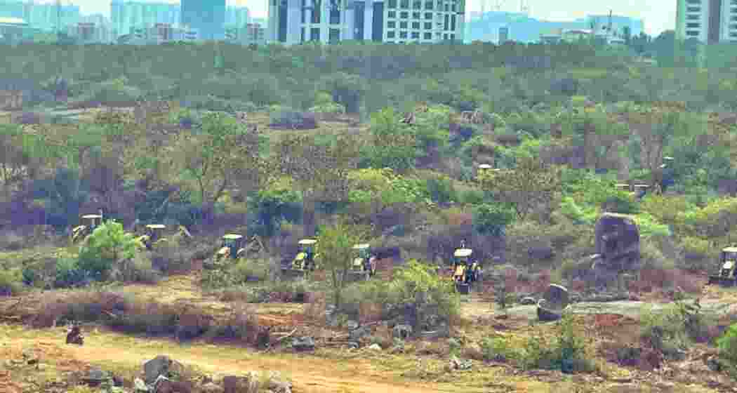 Bulldozers stand parked for action in the disputed land adjacent to the University of Hyderabad. 