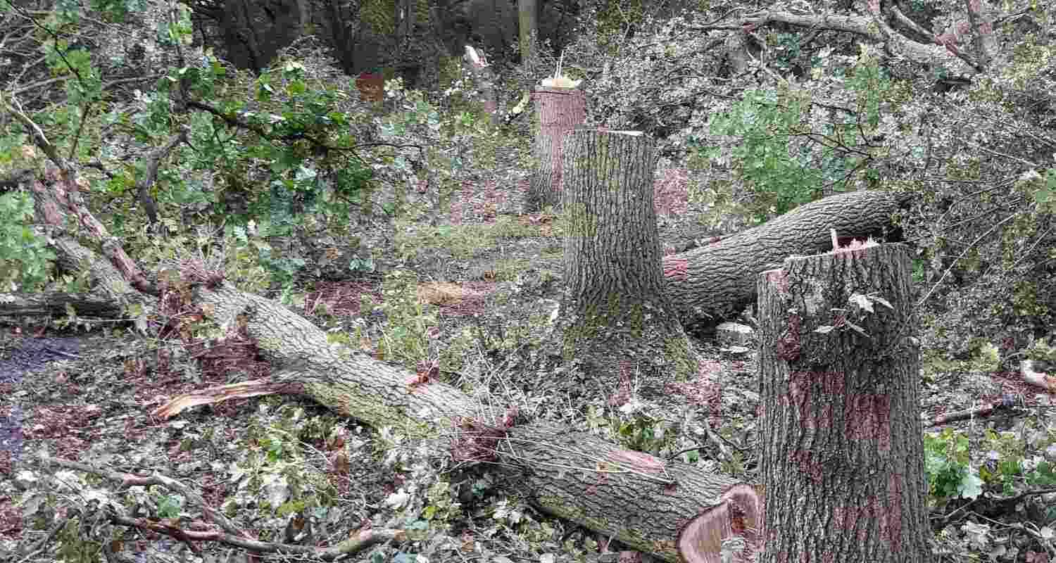 Representational image.