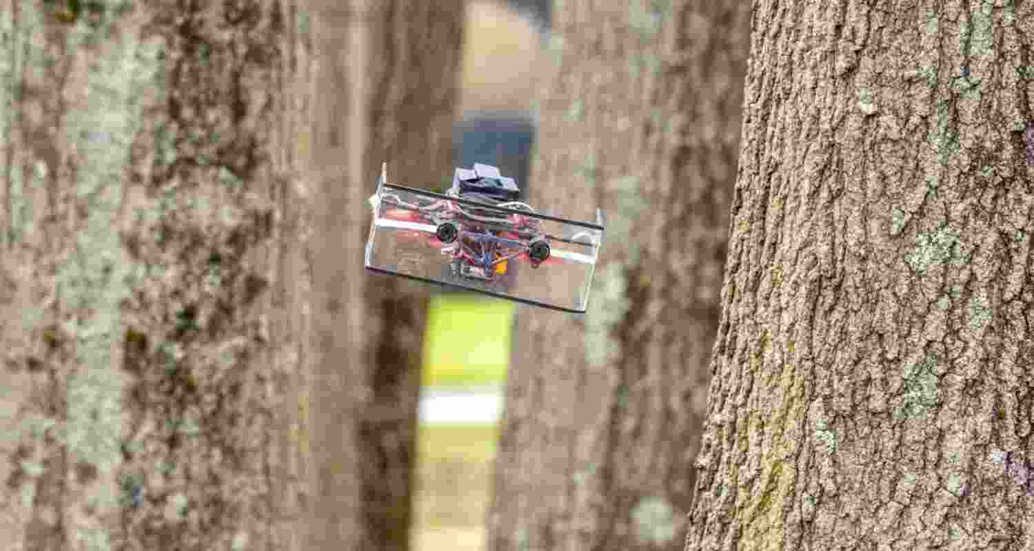 Giving tiny drones the navigation skills of bats