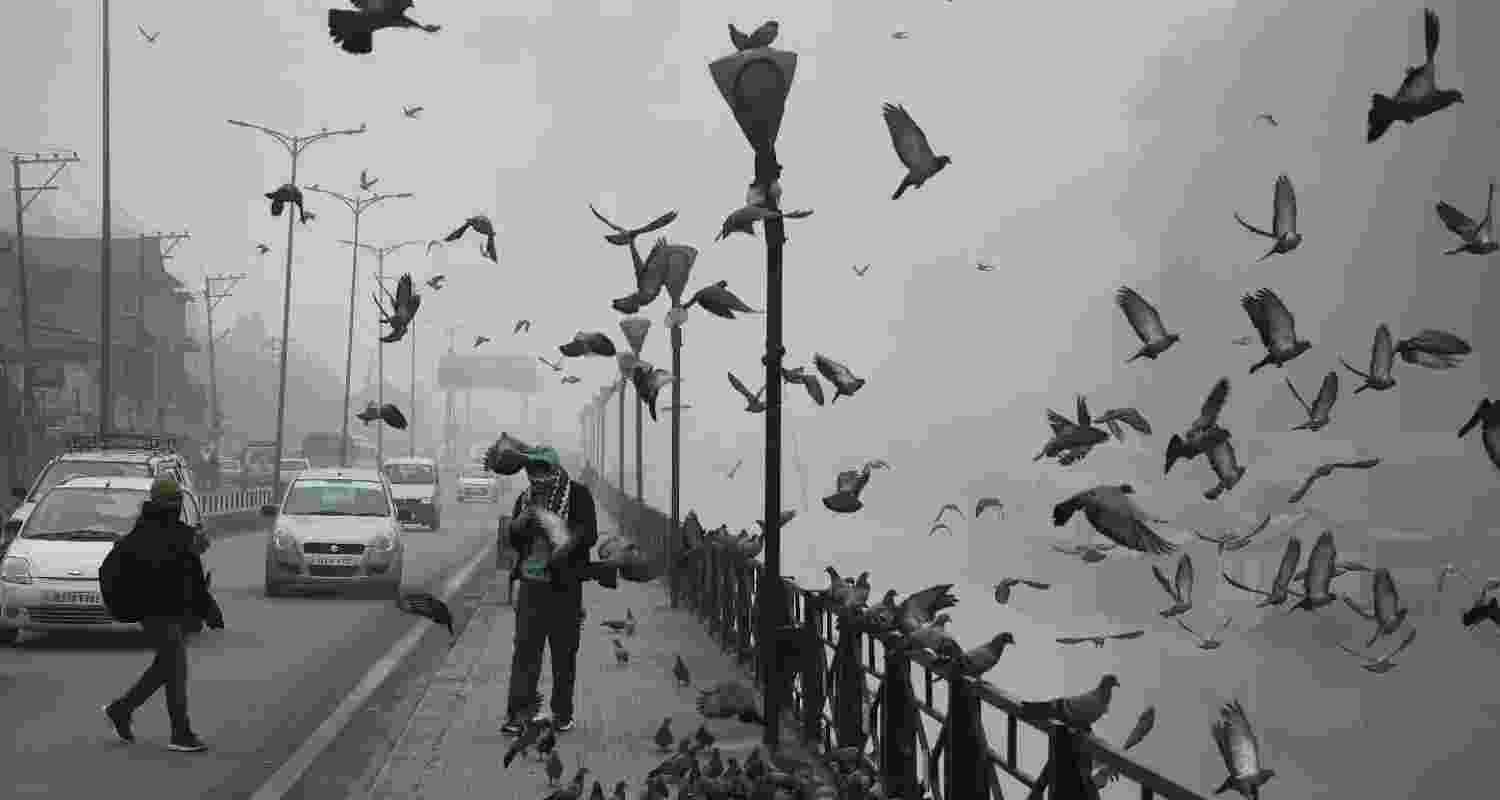 Srinagar Shivers Under Intense Cold Wave as Temperatures Dip to -6°C.