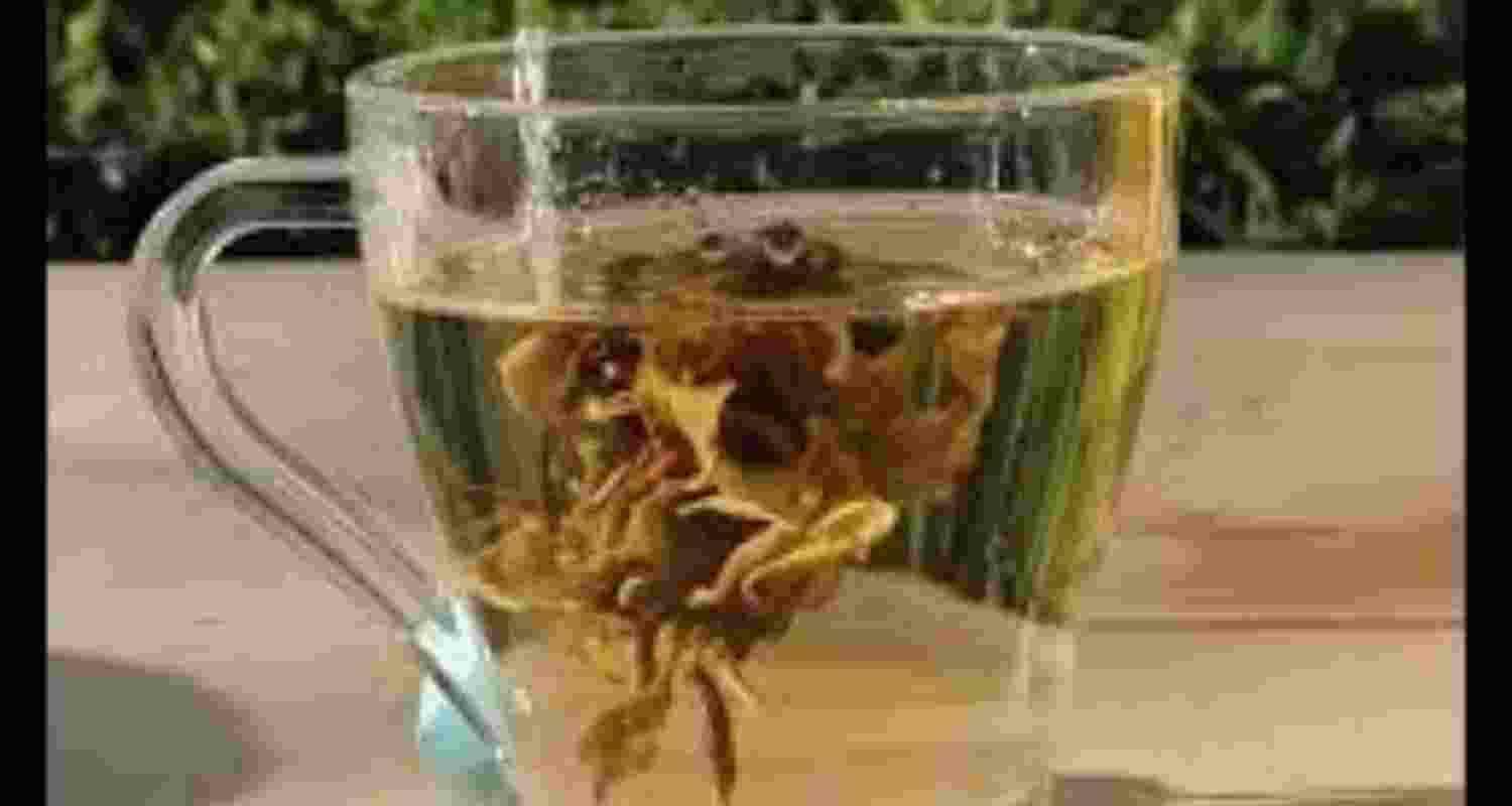 Woolah's bagless tea wins 20-year patent for innovative design