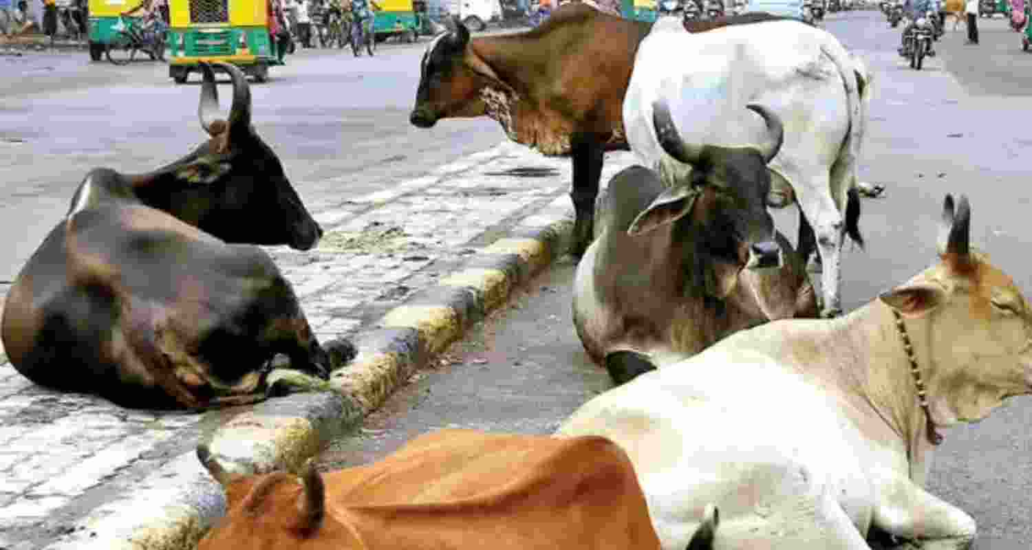 Representational Image.