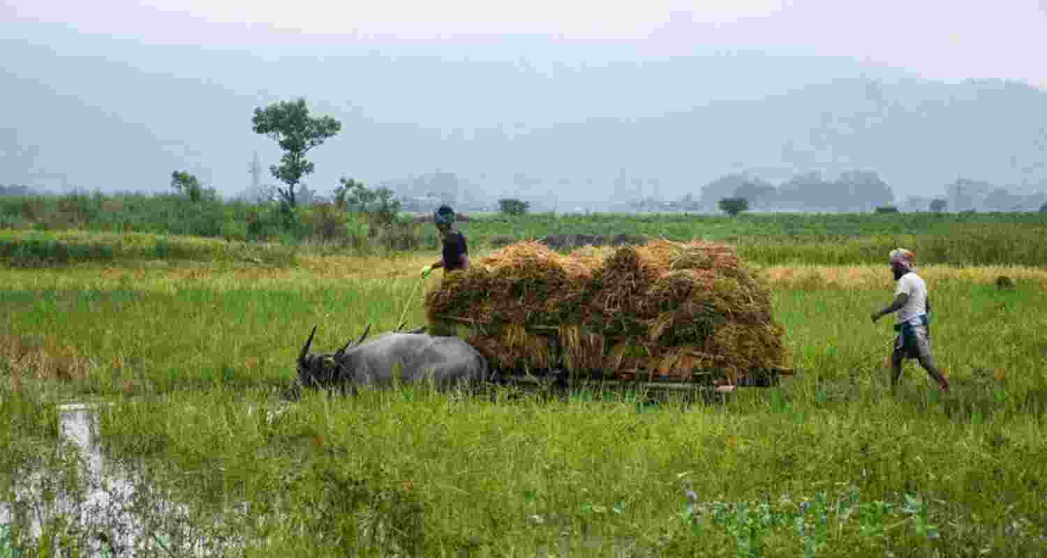 Representational image