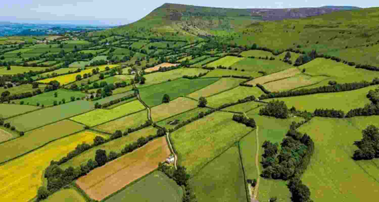 Representational image.