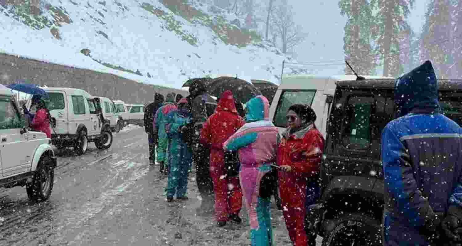  Along with snowfall, several regions in Himachal Pradesh experienced significant rainfall. 