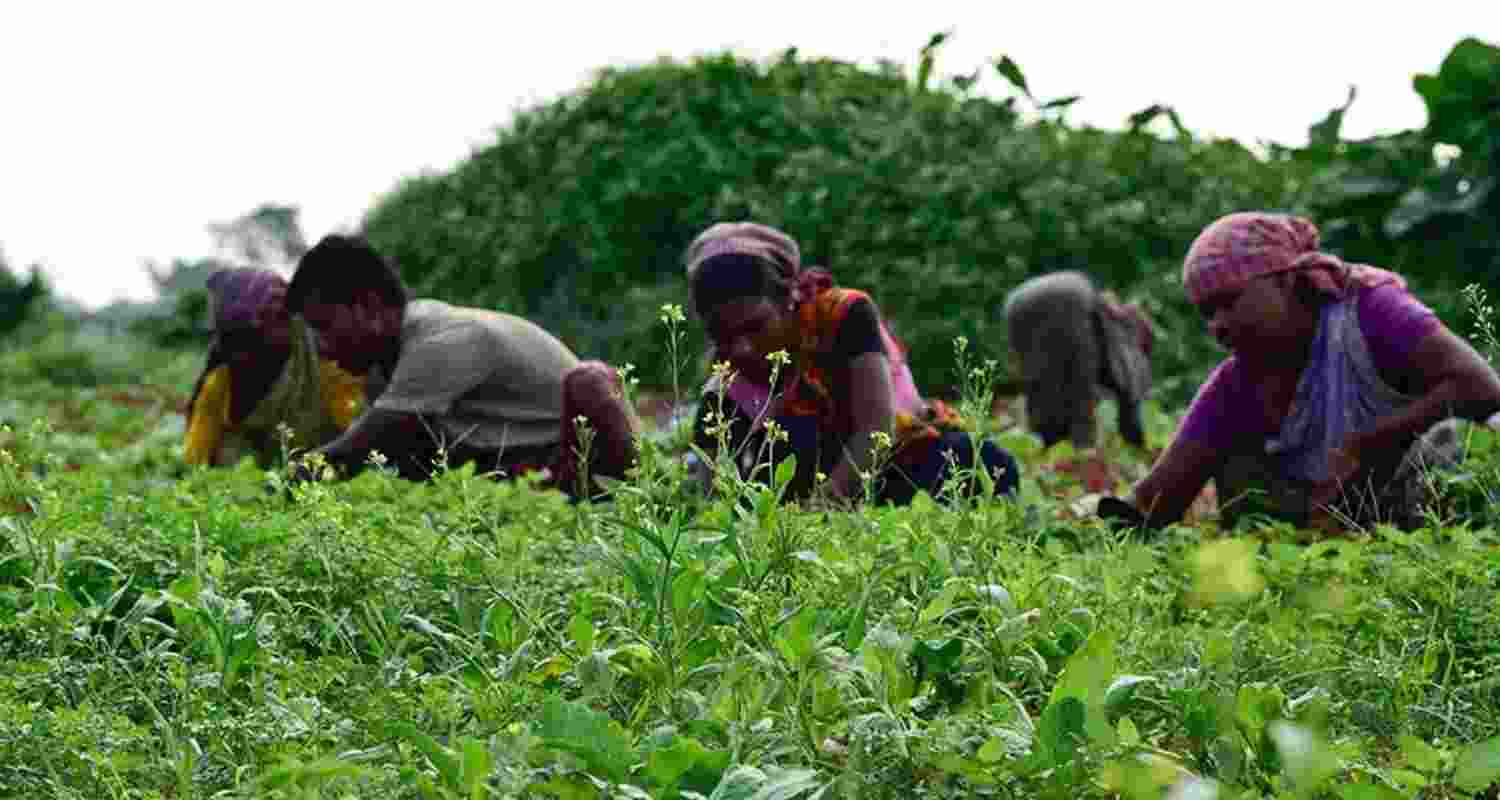 Representational image.