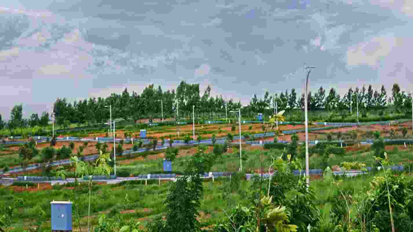 Earth Day: Lessons from Karnataka's Vijayapura, an arid region to a green paradise