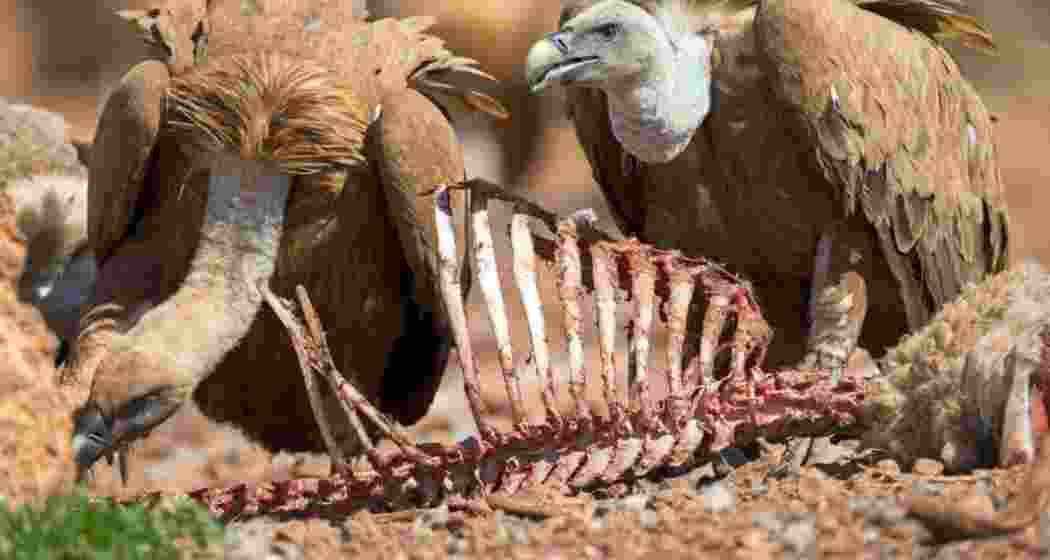 Image for representative use only.