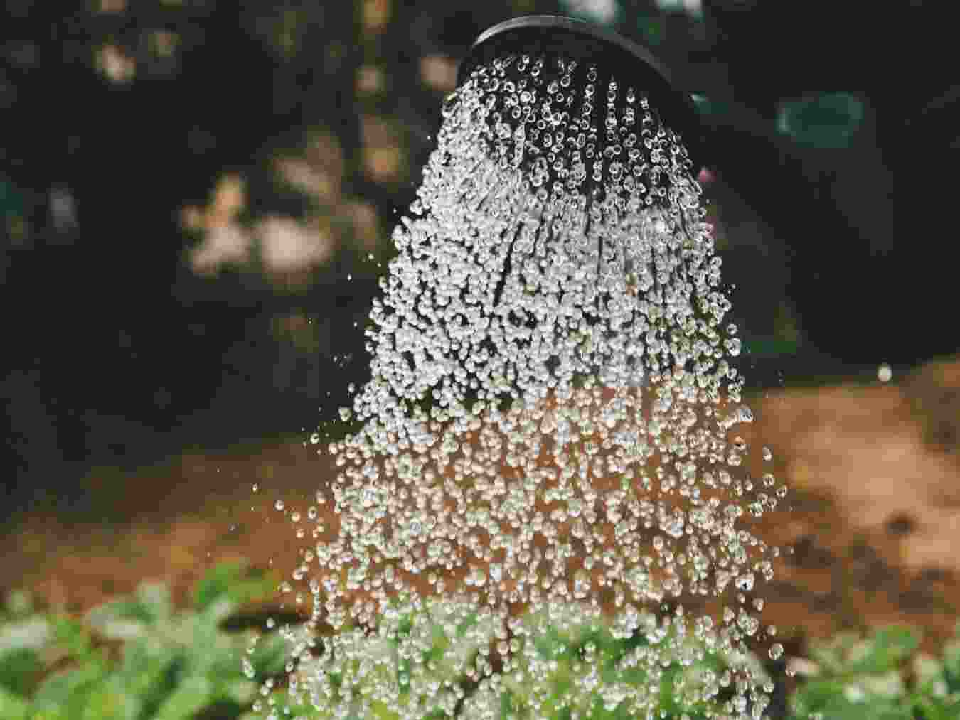 Promoting reuse of greywater is important as water demand in Bengaluru is projected to cross 5,340 million litres per day by 2030. 