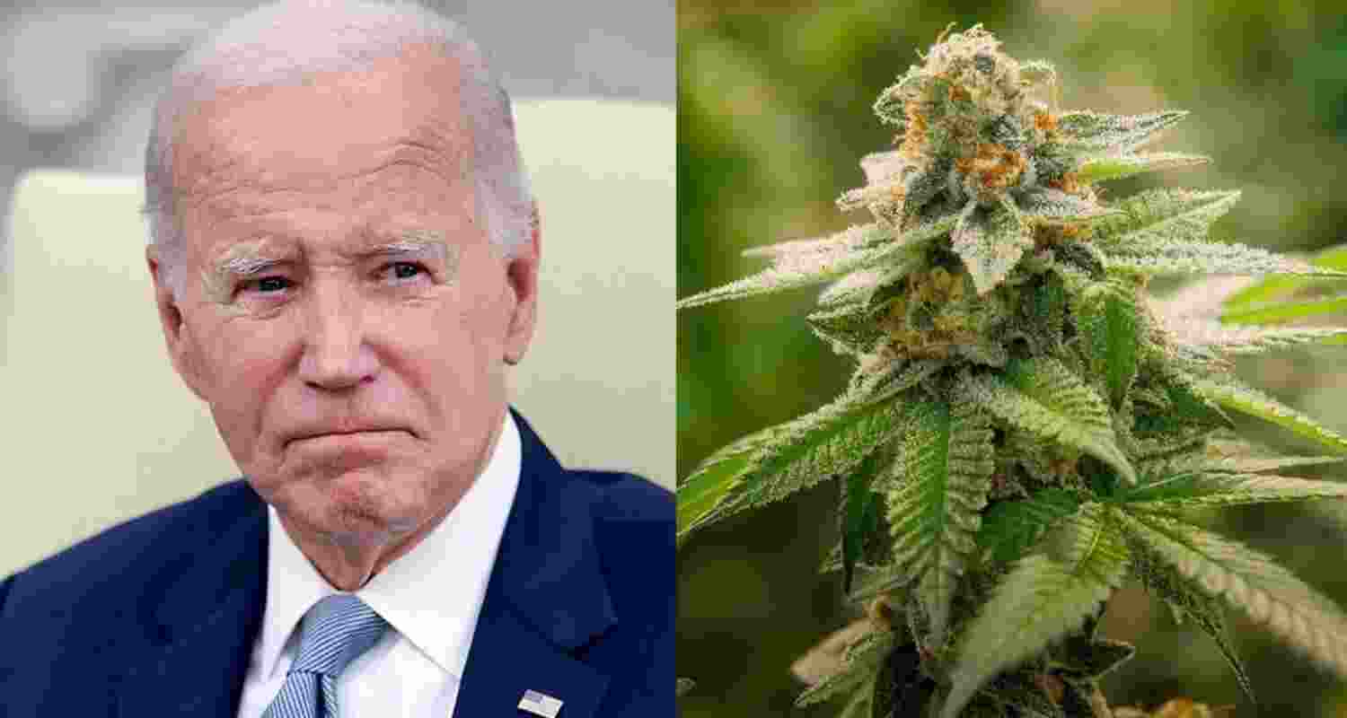 Marijuana was first outlawed at the federal level in 1937, a decision critics argue was rooted in racist ideologies, associating the drug with jazz music, the Black community, and Mexican immigrants. 