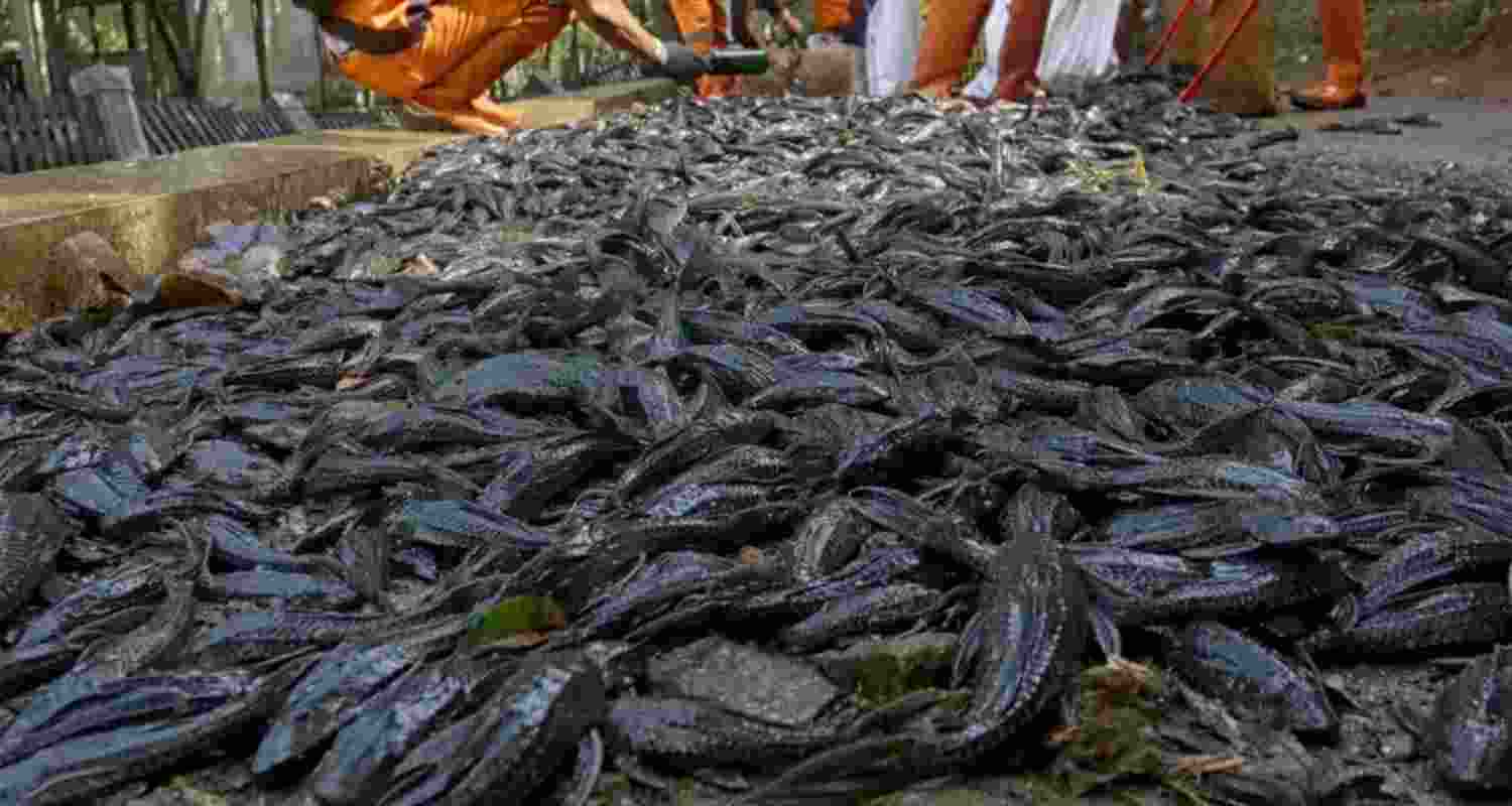 Representational image.