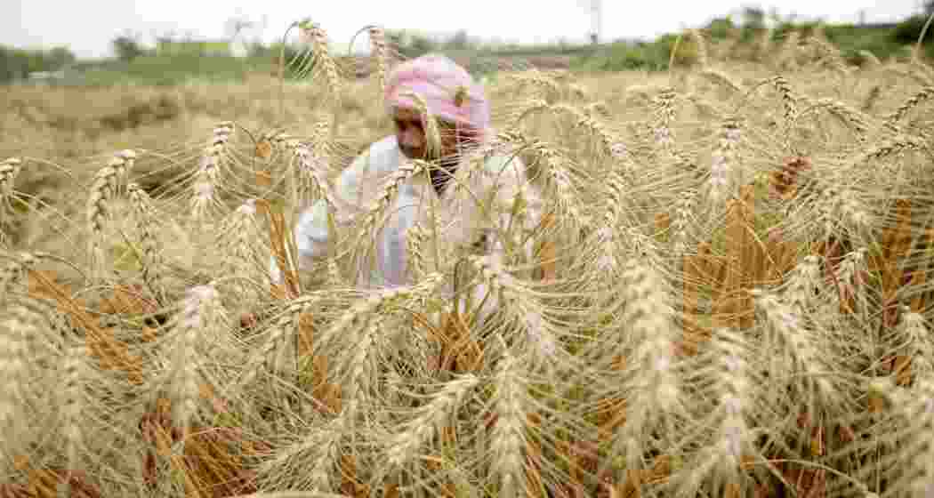 Representational image.