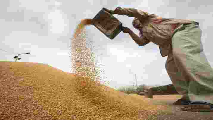 Amid ongoing Lok Sabha election fervor, the Centre plans a significant increase in wheat purchase from non-traditional states like Uttar Pradesh, Rajasthan, and Bihar, aiming for a seven-fold jump to 50 lakh tonnes in the 2024-25 marketing year.