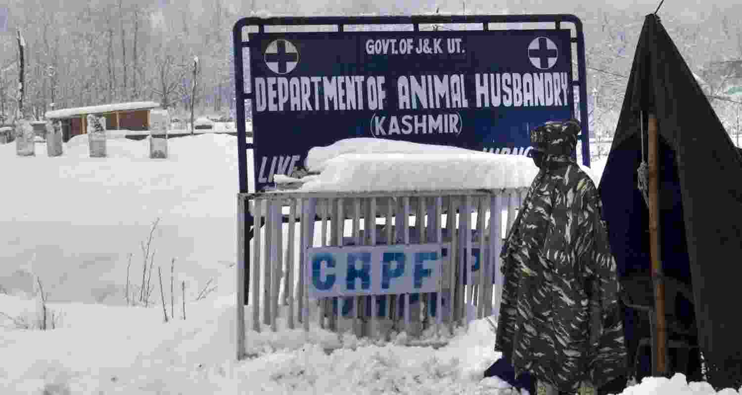 A CRPF personnel stands guard at a snow-covered stretch during fresh snowfall in Anantnag district on Tuesday. A CRPF personnel stands guard at a snow-covered stretch during fresh snowfall in Anantnag district on Tuesday.