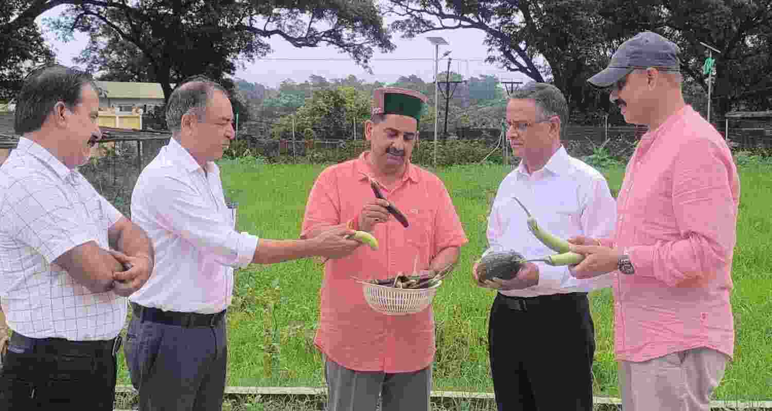 Congress MLA from Shahpur in Kangra district Kewal Singh Pathania Pathania with agriculture experts during a field visit. Congress MLA from Shahpur in Kangra district Kewal Singh Pathania Pathania with agriculture experts during a field visit.