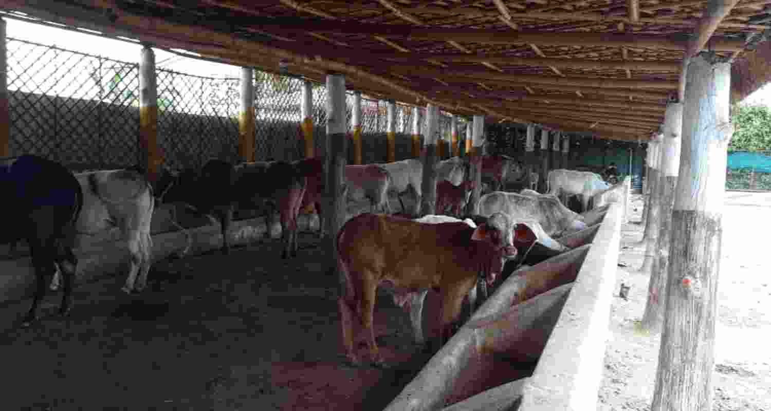 Representational image. Representational image.