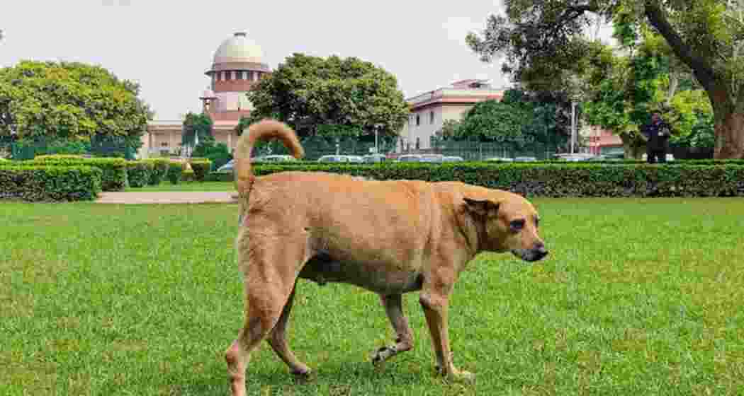 The Chief Secretaries have been asked to appear on November 3. The Chief Secretaries have been asked to appear on November 3.