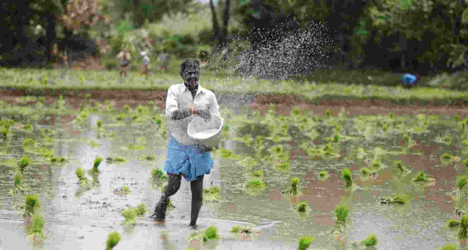 Representational Image. Representational Image.