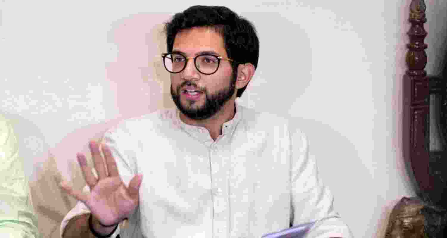 Arguing that the prospective revenue that these projects is expected to generate for the state is minimal, Thackeray implored in his letter that the forests and the inhabiting wildlife be protected as per the mandate of the ministry Arguing that the prospective revenue that these projects is expected to generate for the state is minimal, Thackeray implored in his letter that the forests and the inhabiting wildlife be protected as per the mandate of the ministry