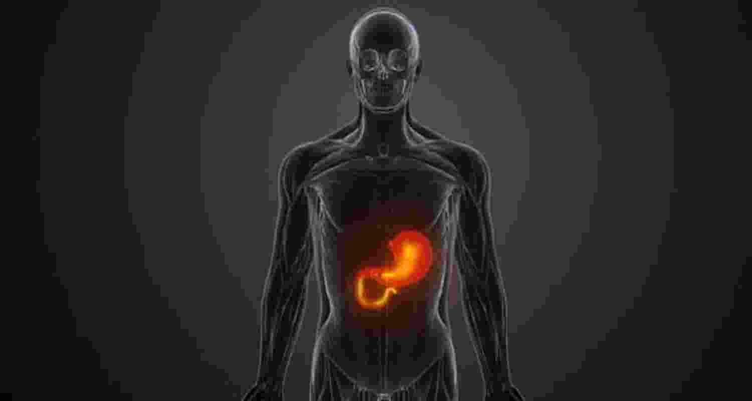 Hepatitis B & C Hepatitis B & C