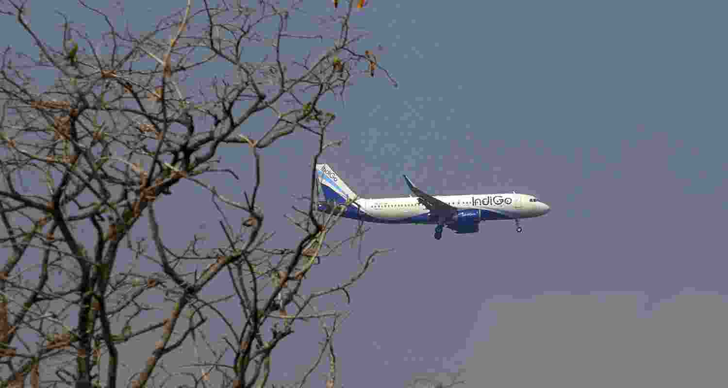 According to an order issued by the DGCA on Wednesday, the oversight team will comprise a Deputy Chief Flight Operations Inspector, senior FOIs (Flight Operations Inspector), and two FOIs According to an order issued by the DGCA on Wednesday, the oversight team will comprise a Deputy Chief Flight Operations Inspector, senior FOIs (Flight Operations Inspector), and two FOIs