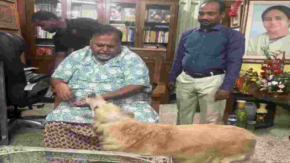 'Loyalty led to my downfall', says Partha Chatterjee 'Loyalty led to my downfall', says Partha Chatterjee