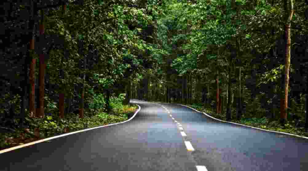 The Saranda Forest region also holds significant cultural and livelihood importance for the local tribal communities who depend on its forests and minerals for their sustenance. The Saranda Forest region also holds significant cultural and livelihood importance for the local tribal communities who depend on its forests and minerals for their sustenance.