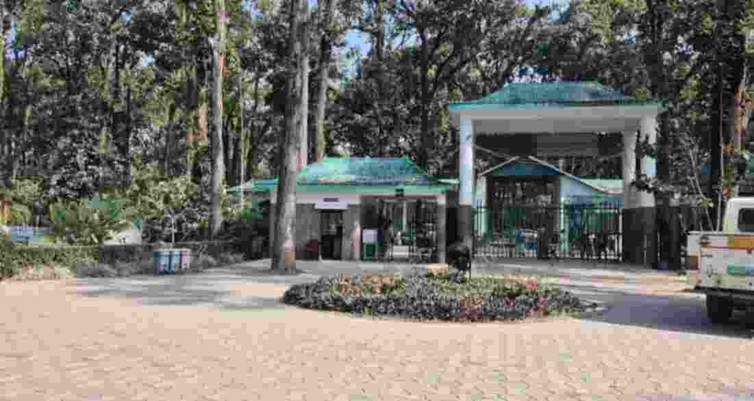 The Forest Department has taken special care of over 2,000 animals housed in six zoos across the state. The Forest Department has taken special care of over 2,000 animals housed in six zoos across the state.