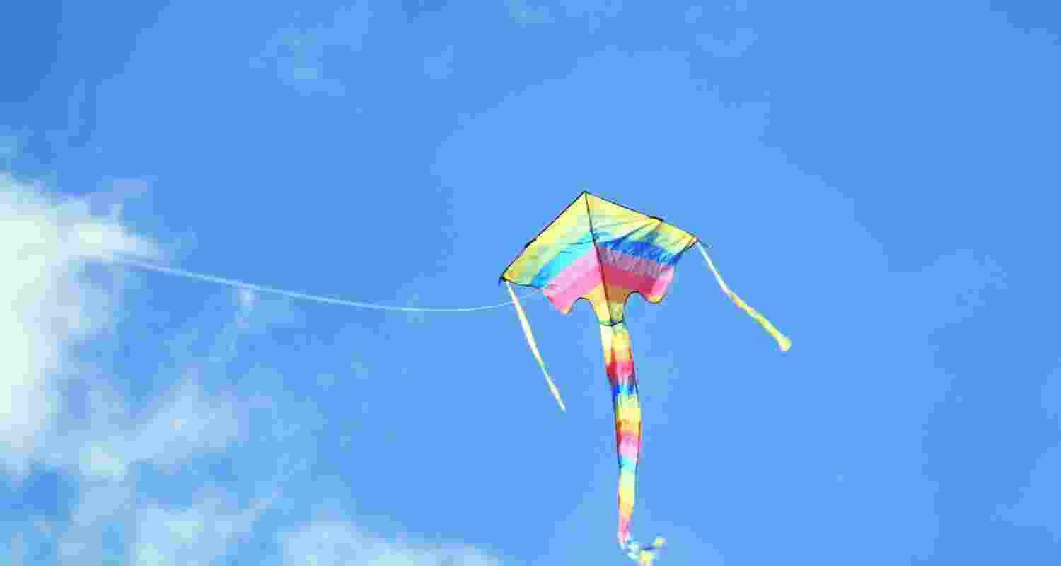 Over 5,400 birds injured by kite strings in Gujarat Over 5,400 birds injured by kite strings in Gujarat