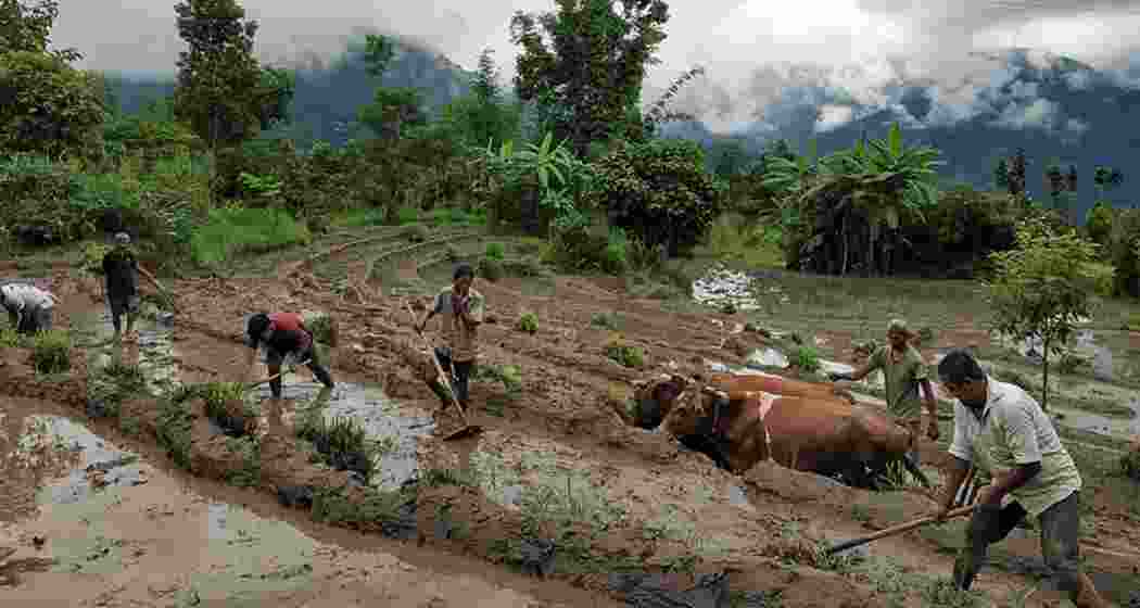 Farmers in Mizoram plough their fields. (File photo) Farmers in Mizoram plough their fields. (File photo)