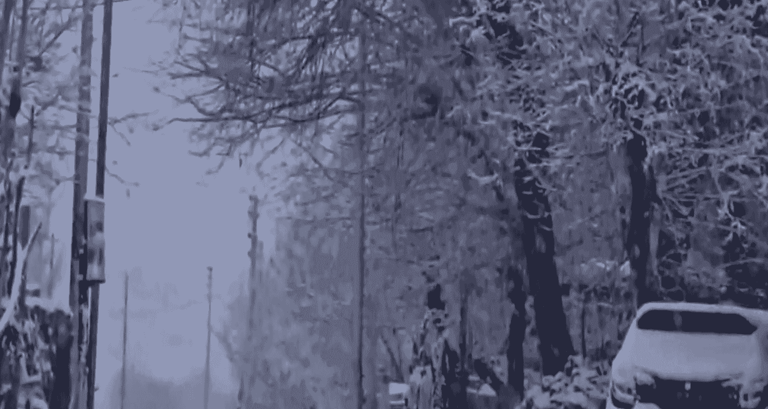 Represntational image. Represntational image.