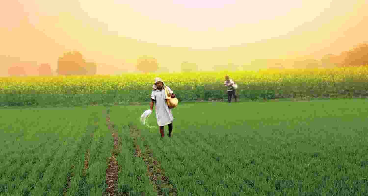 Representational image. Representational image.