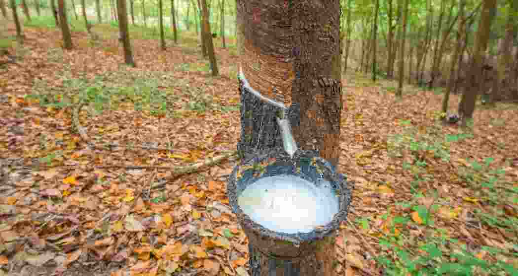 Representational image. Representational image.