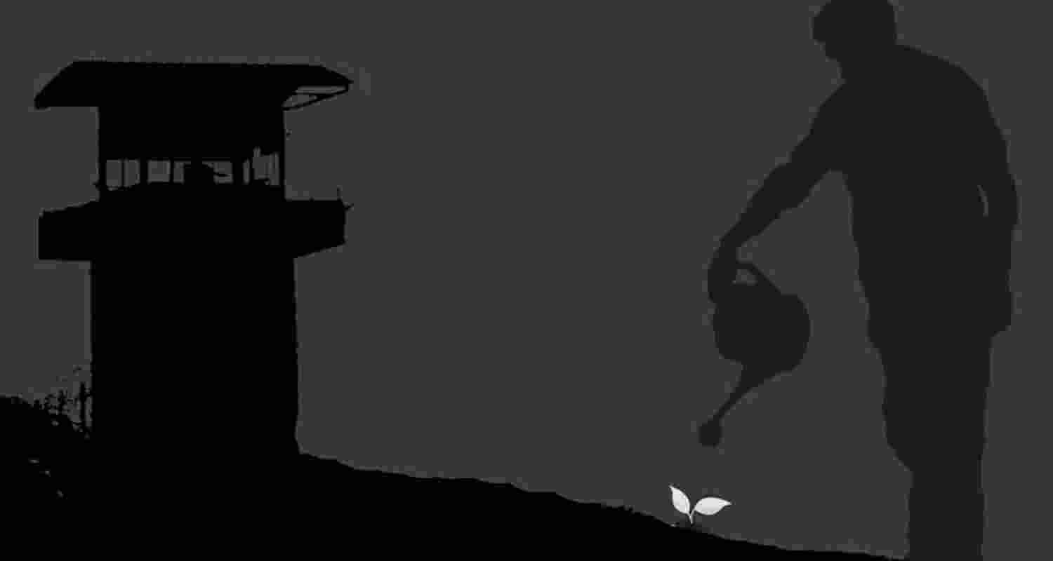 SC's 'no' to tree plantation 'condition' for bail of murder conv SC's 'no' to tree plantation 'condition' for bail of murder conv